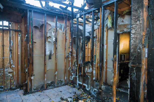 Professional Smoke Damage Removal technician working in Sebastian, TX